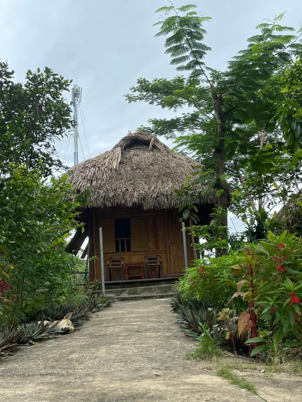 Hotel Cuc Phuong Bungalow Nho Quan Esterno foto